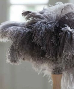 Cookware Andree Jardin Ostrich Feather Duster