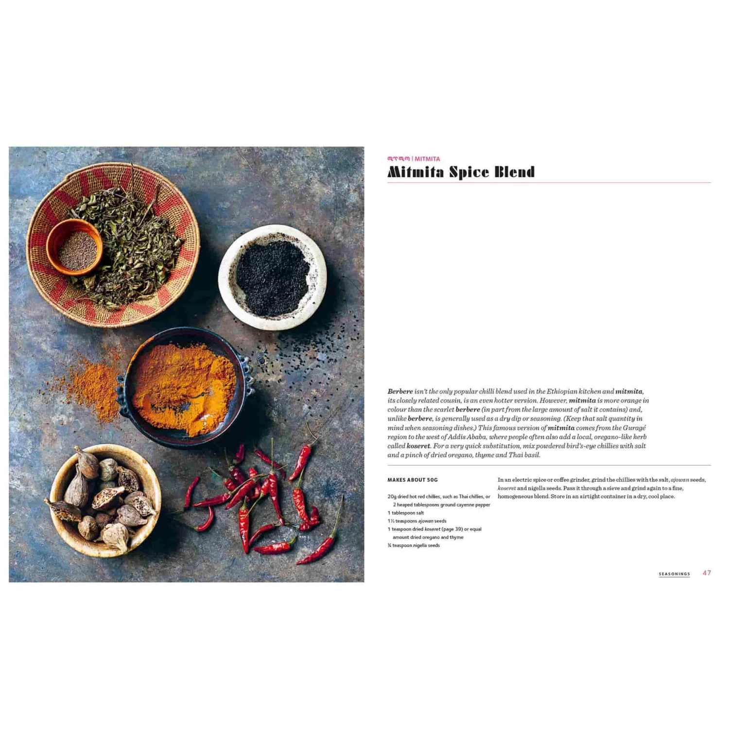 Octopus Ethiopia By Yohanis Gebreyesus