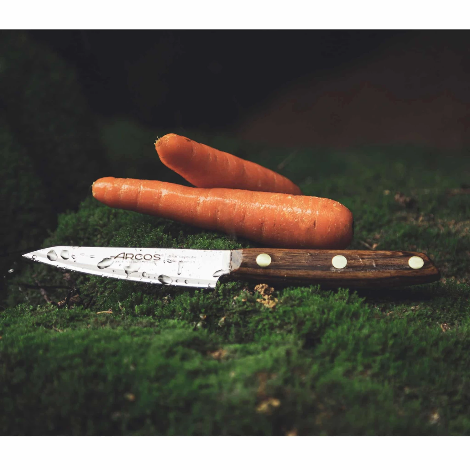 Cookware Arcos Nordika Paring Knife 10cm