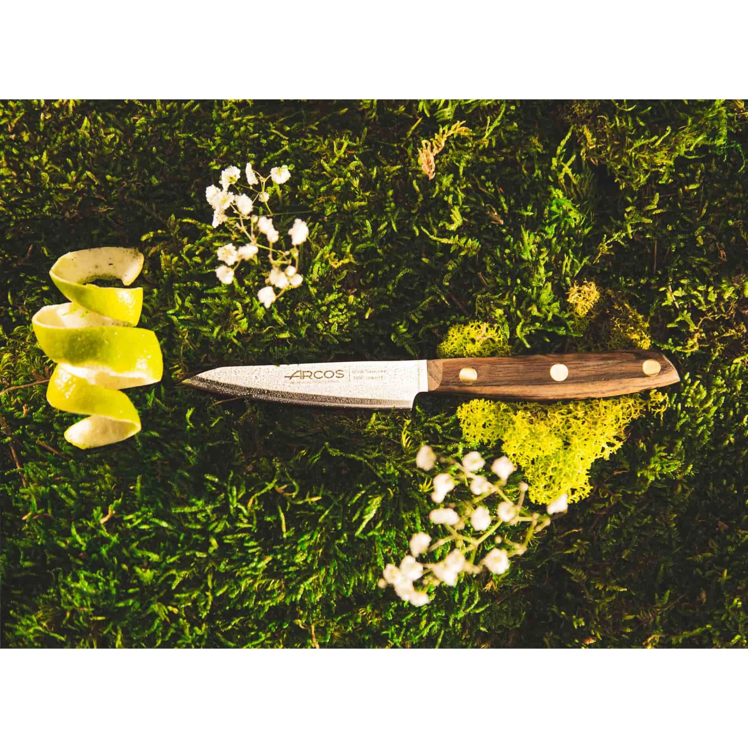 Cookware Arcos Nordika Paring Knife 10cm