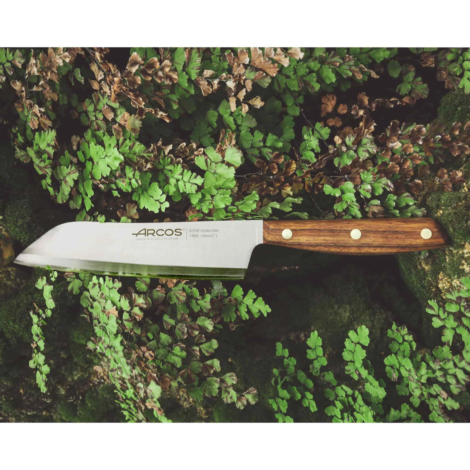 Arcos Nordika Santoku Knife 19cm