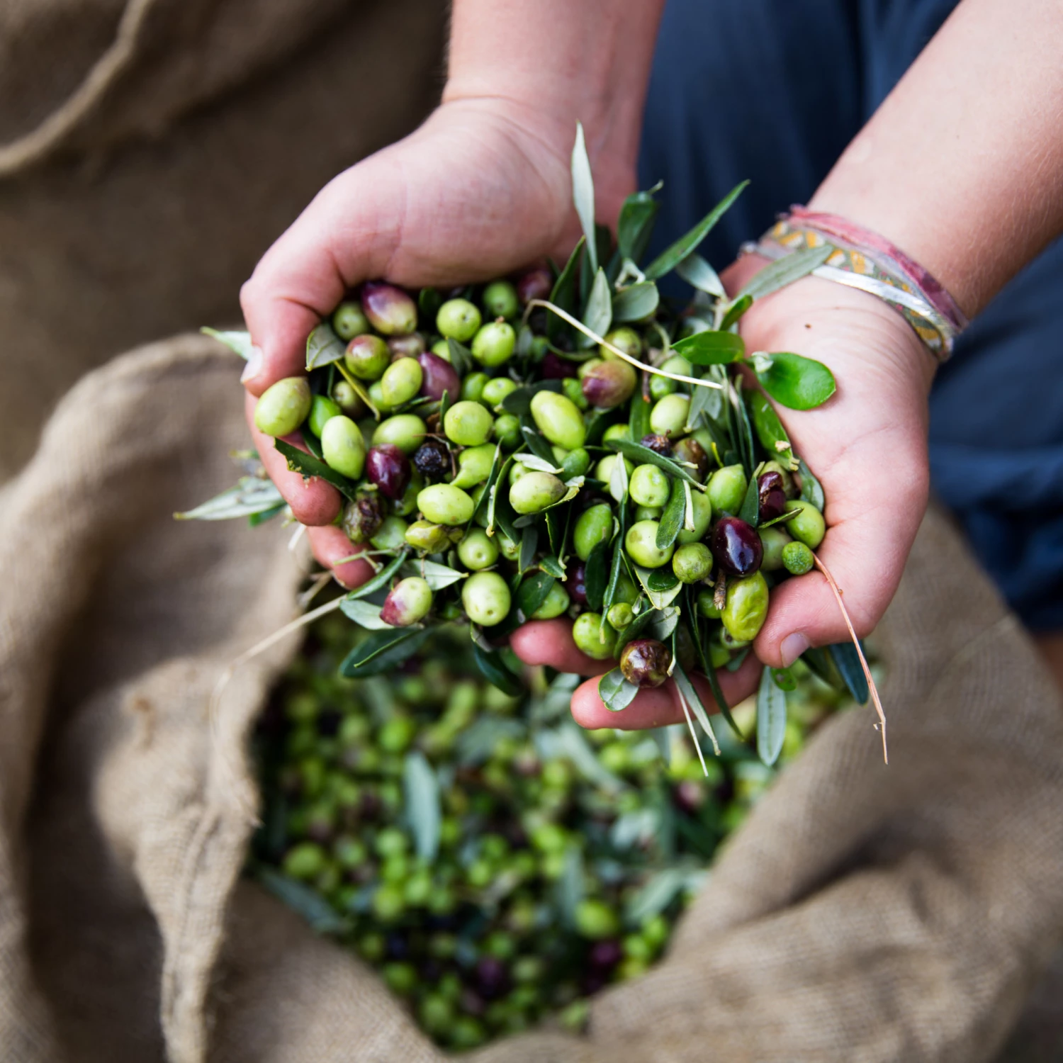 Honest Toil Extra Virgin Olive Oil 500ml Ingredients