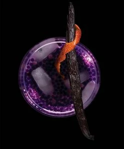 Molecule-R Gin And Tonic R-evolution