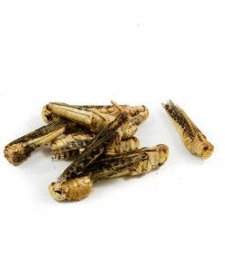Eat Grub Edible Grasshoppers 9g