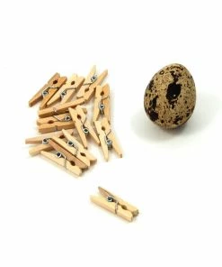 Sous Chef Mini Wooden Clip 2.5cm