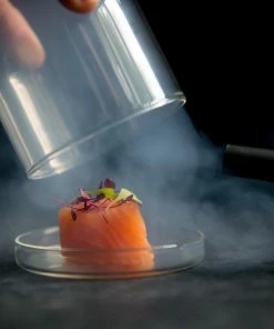 Sage Smoking Gun Molecular Gastronomy Supplies